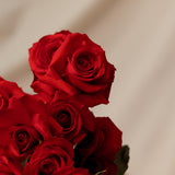 Long Stem Red Roses
